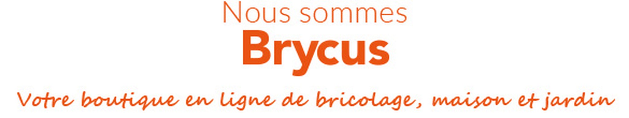 Nous sommes Bryus, votre magasin en ligne DIY, maison et jardin
