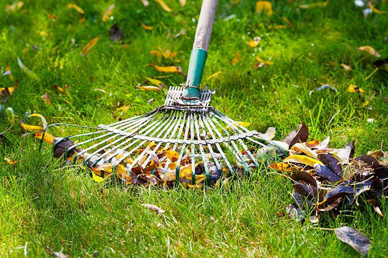 Entretien du jardin