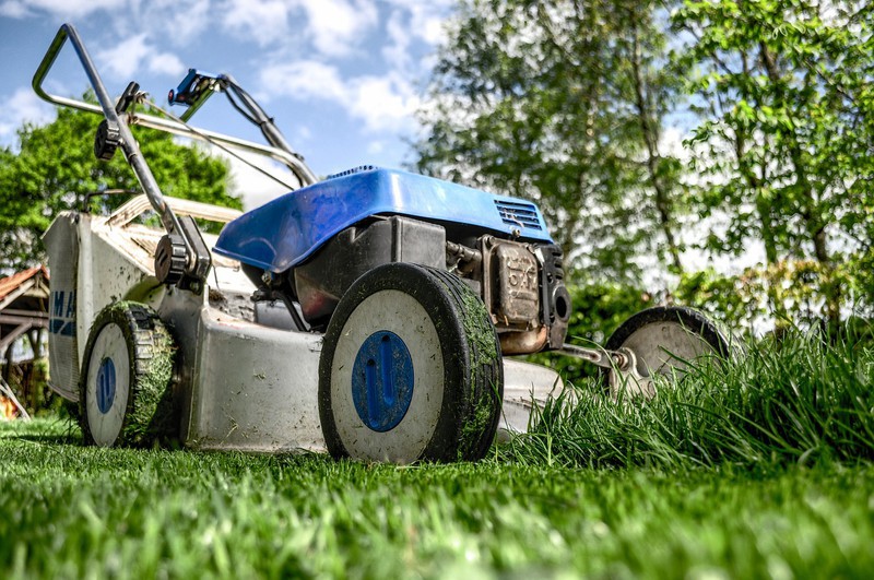 How to choose the right mower