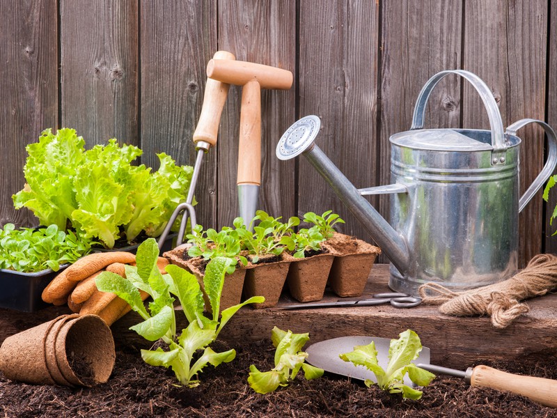 Strumenti di giardinaggio essenziali per la primavera