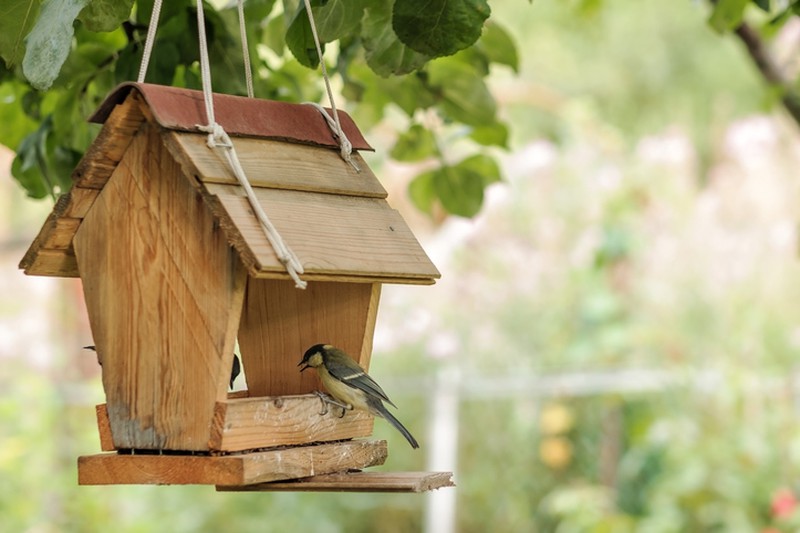 Ein Vogelhaus bauen