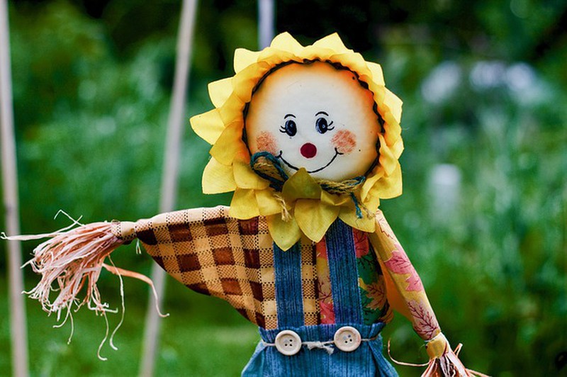 Make your own Scarecrow