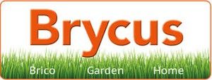 Brycus