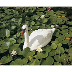 Figures décoratives pour les bassins de jardin