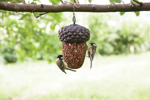 Acorn bird feeder