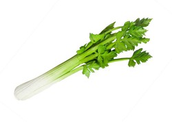 Celery