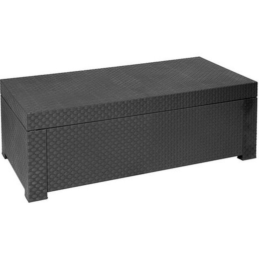 Trunk valid for outdoor and indoor Md Diva Anthracite 117x63x43 cm