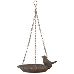 Hanging birdbath with 1 bird