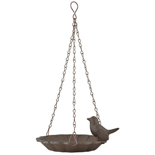 Hanging birdbath with 1 bird
