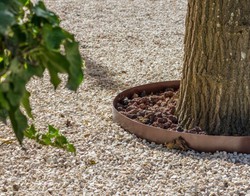 Bordura CIRCOLARE in acciaio corten diametro 150 cm