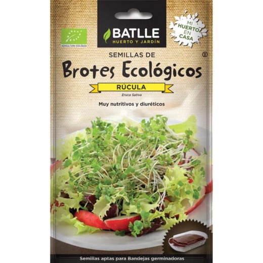 RUCULA SPROUTS - ECO