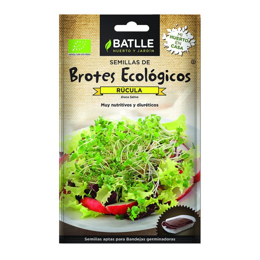 BROTES RUCULA - ECO