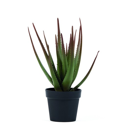 Cactus Artificial Aloe Catral