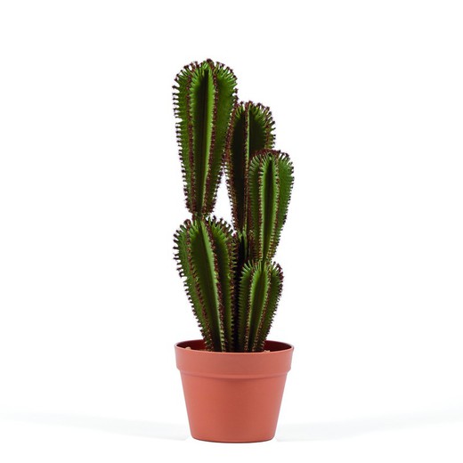 Cactus Artificial Euphorbia Suzannae Catral