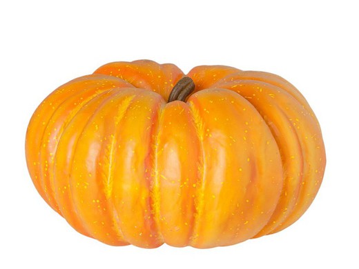 Big American Pumpkin Catral