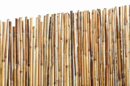 Cañizo Bambú Entero Catral