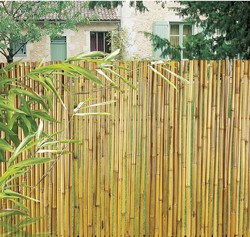 Clôture Bambou Naturel gamme Japonaise irrégulière TOPI