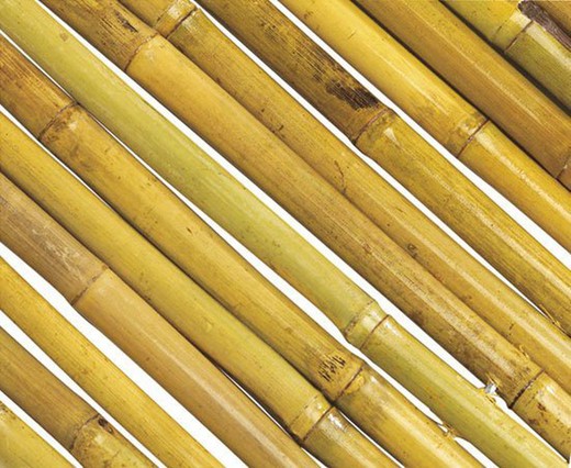 Natuurlijke bamboe schutting Gelakt Bambooflex Nortene