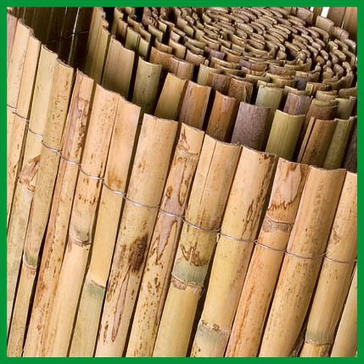 Arella singola mezza canna di bambù