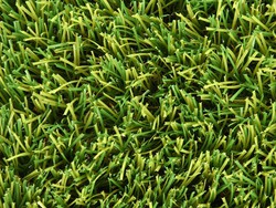 40 mm Eden artificial grass