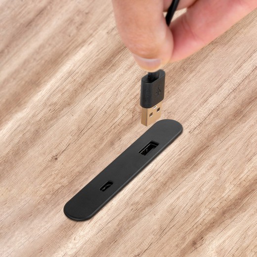 Emuca Connettore USB A e C per caricare Linky, 81x12mm, da incasso o da superficie, Plastica, Nero