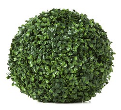 Catho common boxwood decorative sphere