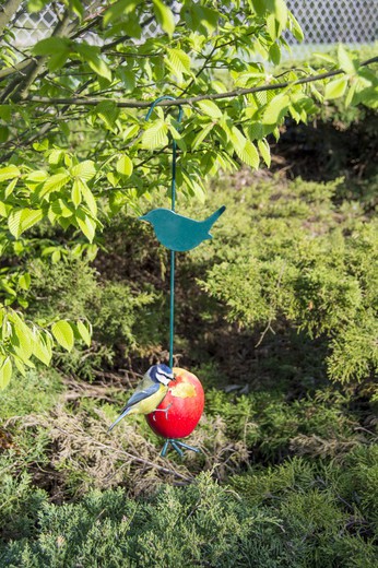 Crochet Porte Alimentation pour Oiseaux Forme Oiseaux FB11 Esschert Design L 5 x l 10 x H 40 cm