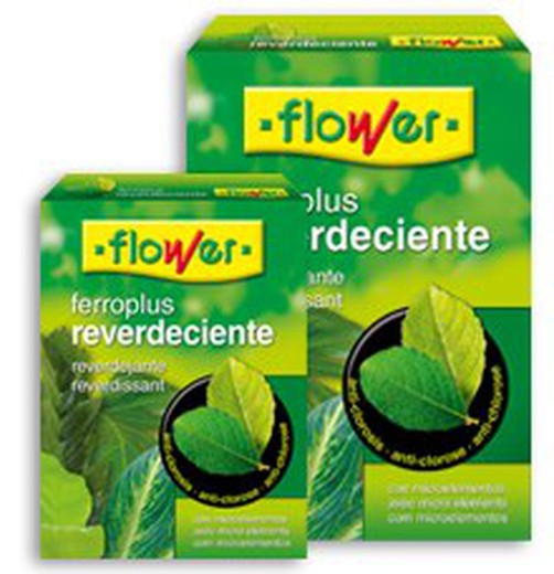 Ferro plus zielony kwiat