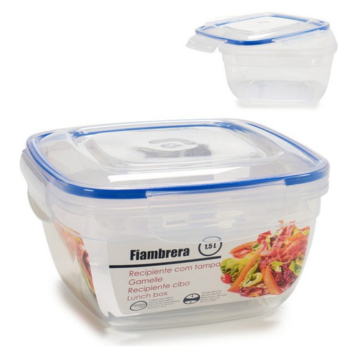 Square Blue Transparent Plastic Lunch Box