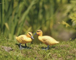 Goose Chicks Galionsfigur Ubbink 20 cm