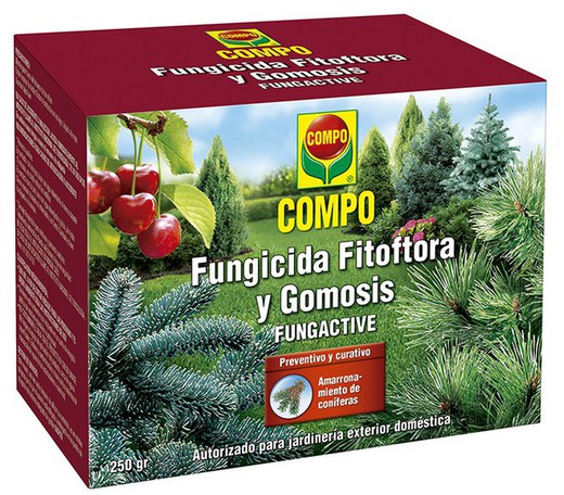 Fungicida Fitoftoria e Gomosis 250 gr Compo