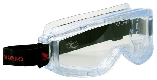 GUARDIAN Clear Panoramic Safety Glasses