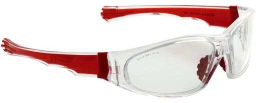 EAGLE clear safety glasses