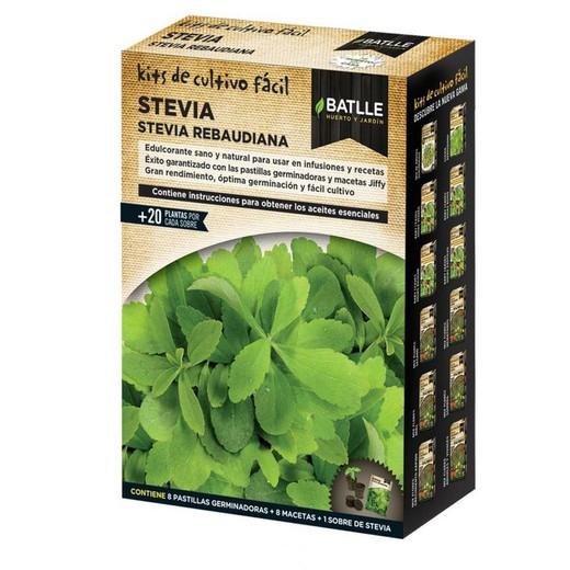 Kit de plantation pour Stevia Rebaudiana