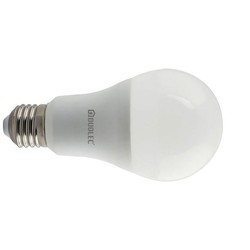 Lampe Standard E27 10W 4000K