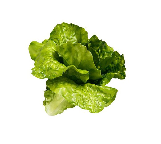 Lechuga