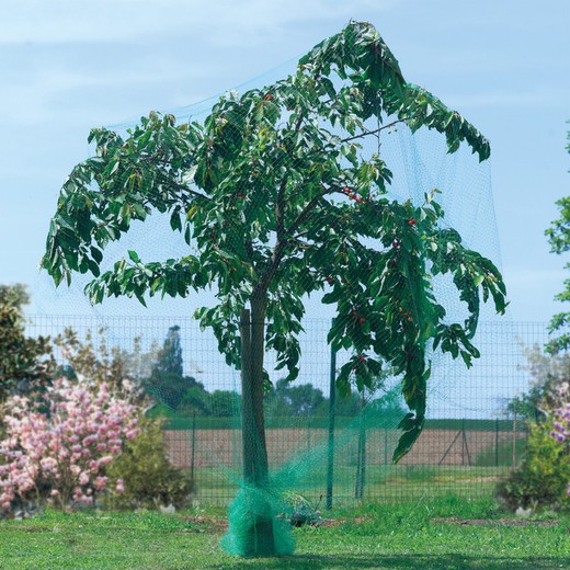 Nort Birdnet gewasbeschermingsnet