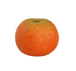 Mandarina Rugosa