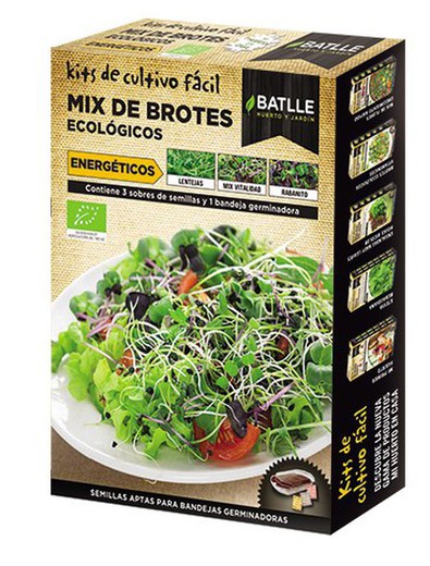 Sementes Mix brotou brotos de energia verde