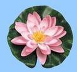 Waterlelie met waterdruppels 14 cm roze Ubbink
