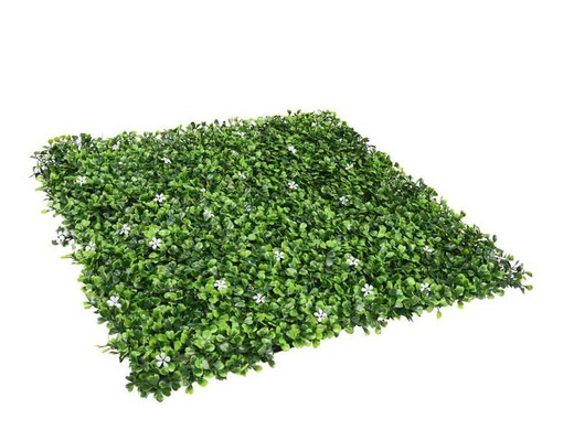 jasmine vertical garden pack 50x50cm: 4u