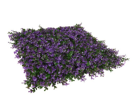 Lavender vertical garden pack 50x50cm: 4u