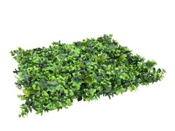 mahonia vertikalt trädgårdspaket 50x50cm: 4u