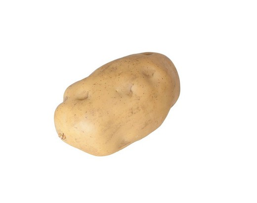 Potato