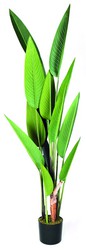 Planta artificial Nort Decoplant Ave del Paraiso 185cm