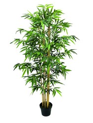Nort Decoplant Plante artificielle Bambou 180cm
