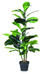 Sztuczna roślina Nort Decoplant Lytara 120cm