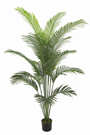 Planta artificial Nort Decoplant  Palmera 180cm