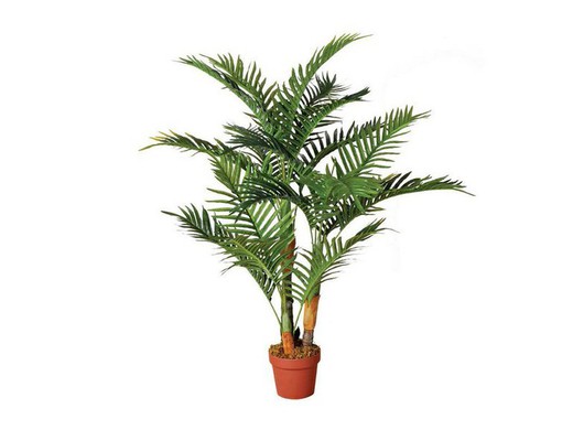 Palmera Plant 120 Cm