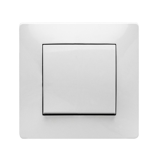 10A-250V white button